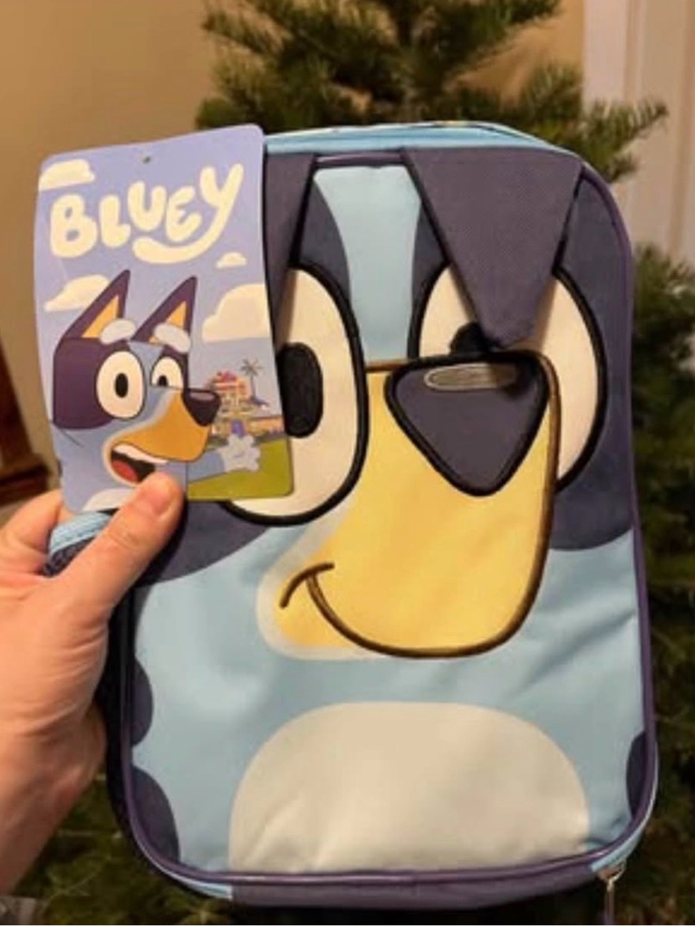 Bluey Character lunchbox NWT